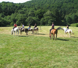 Stages d'équitation, balades à cheval, nous vous proposons de multiples activités équestres